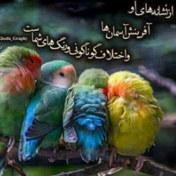 شگفتی های آفرینش۱