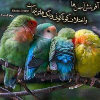 شگفتی های آفرینش۲
