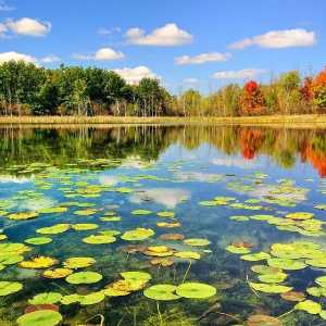 خلاقیت های نو گلان