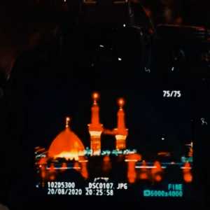 ریحانه سادات سیدصالحی