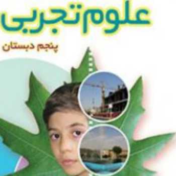 مغز ونخاع