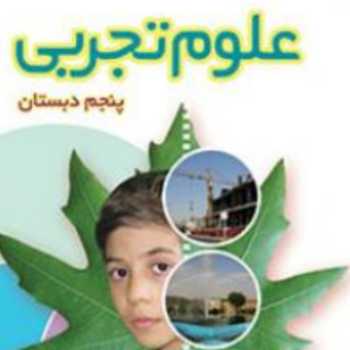 مغز ونخاع