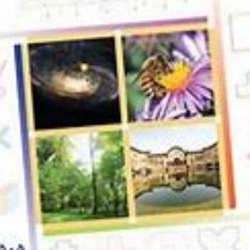 تکلیف ریاضی پایه پنجم(نسبتهای مساوی2)