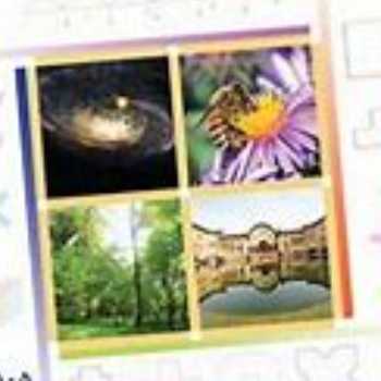 تدریس آمار و نمودار (ریاضی پایه ی پنجم)