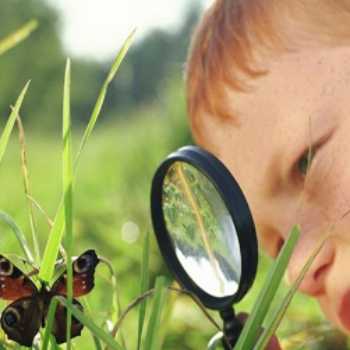 فعالیت کاوشگری