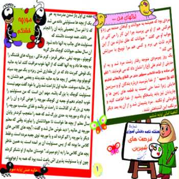 نشریه دانش آموزی(شماره 5)