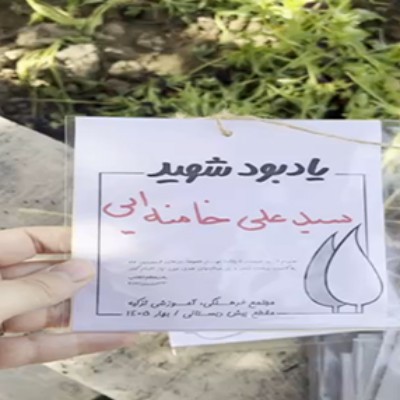 نویسنده: آمنه مختاری هاشم آباد