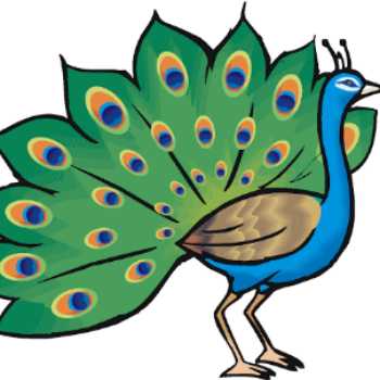 انگلیسی دومی ها ( Animals)
