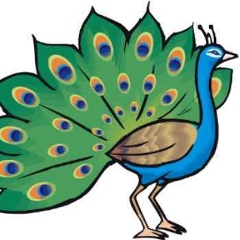 انگلیسی دومی ها ( Animals)