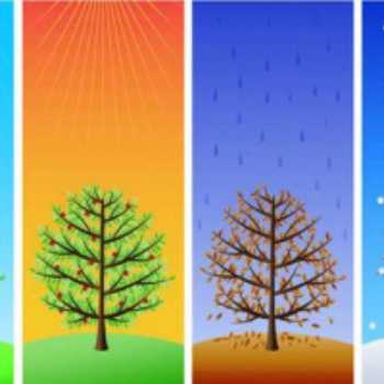 انگلیسی دومی ها ( er )