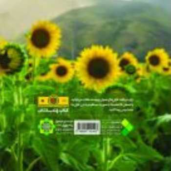 کتاب چند رسانه ای