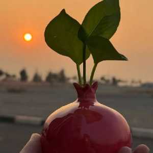 فضای شخصی