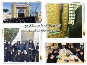 نویسنده: محبوبه خوانساری