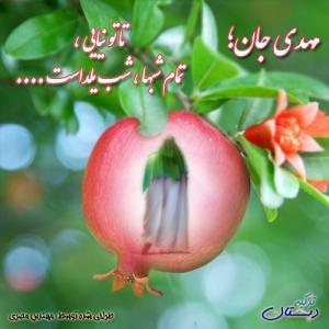 نویسنده: محبوبه خوانساری