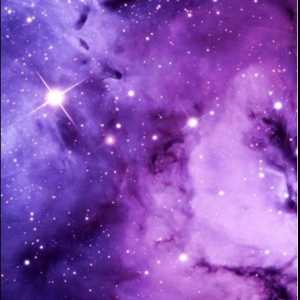 فاطمه حاجی رحیم و دوست ابلهش