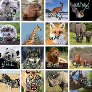 پستانداران