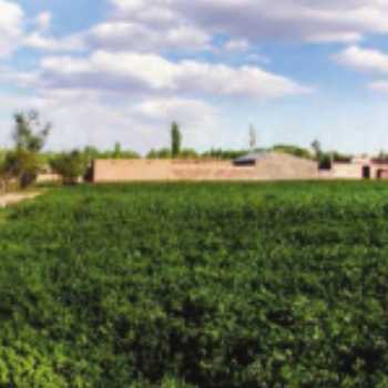 تلفیق زندگی بهتر