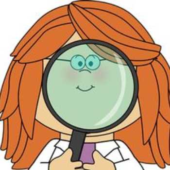 سنگ ها اتوبوس علمی