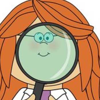 سنگ ها اتوبوس علمی