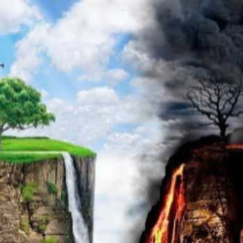 تلفیق شهرت نیک