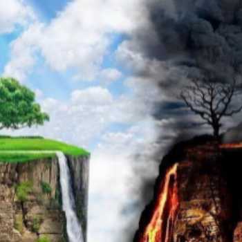 تلفیق شهرت نیک/نگارش